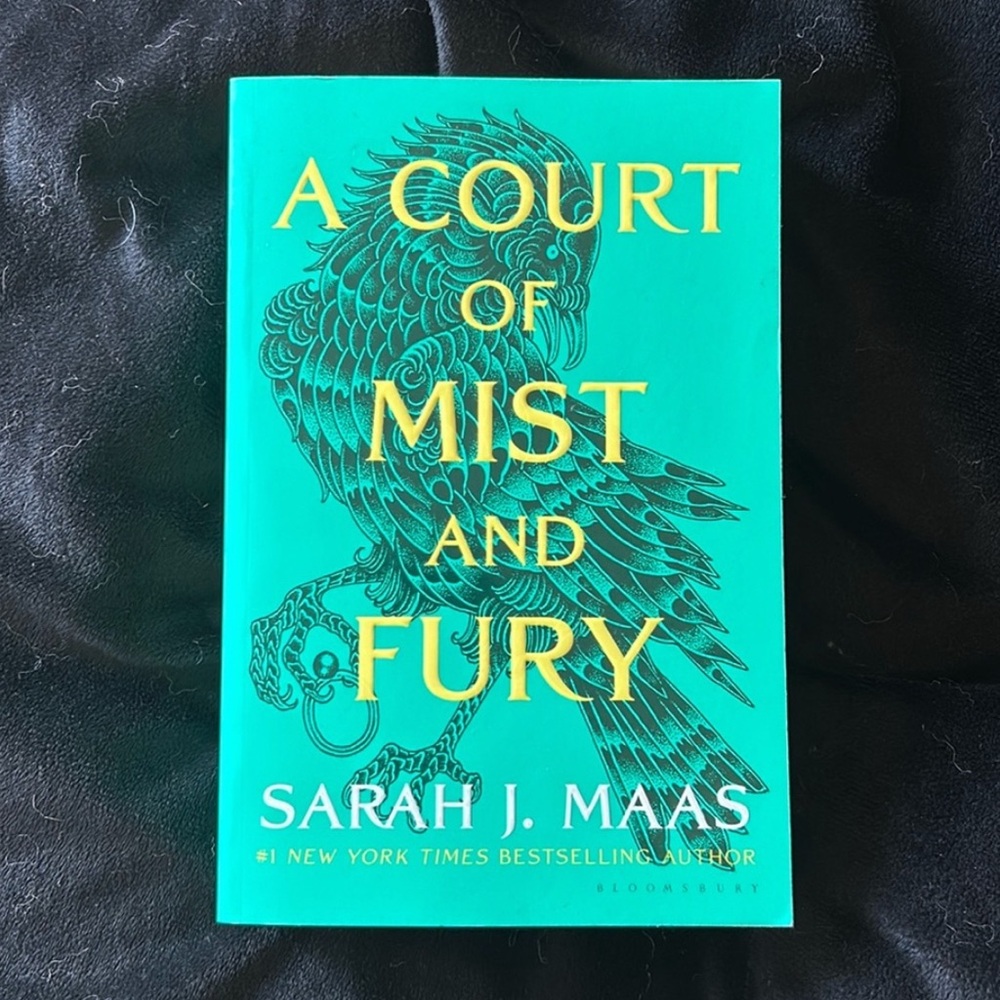 A Court of Mist and Fury Book